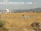 Terreno uso comercial en Venta, Apizaco,