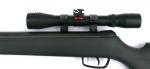 Gamo Big Cat cal 5.5 con mira 4x32