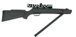 Gamo Big Cat cal 5.5 con mira 4x32