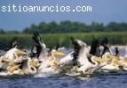 Investment in Danube Delta