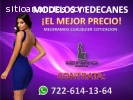 AGENCIA DE EDECANES EN TOLUCA 7226141364