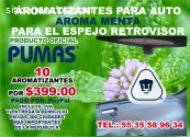 AROMATIZANTES PARA AUTO PERSONALIZADOS