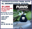 AROMATIZANTES PARA AUTO PERSONALIZADOS