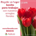 ARREGLOS FLORALES A DOMICILIO FLORESTIA