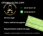 COBRO PAGARES ASESORIA 5587646139