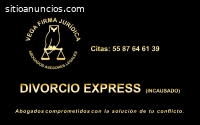 DIVORCIO ABOGADOS ASESORIA  55 8764 6139