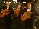 Dúo Trio ó Cuarteto para tus Serenatas