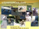 ESCUELA CANINA, PREVENCION Y CORRECCION