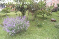 habitaciones amuebladas cocineta y baño