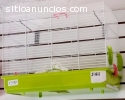 JAULAS PARA AVES PEQUEÑAS!