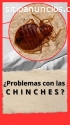 Lavado de salas y colchones con chinches