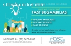 Oficinas virtuales en prom. en MVA Fast