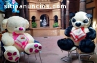 Oso panda de peluche Gigante