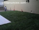 Pasto en rollo natural y tierra jardin