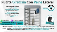 PUERTA GIRATORIA CON PEINE