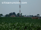 Rancho en venta Abasolo Gto.