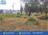 SE VENDE TERRENO EN OZUMBA EDOMEX