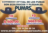 SOMBREROS PERSONALIZADOS DE LOS PUMAS