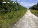 TERRENO DE 5 HECTÁREAS EN LA RUTA DE LOS