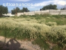 TERRENO EN SATA MATILDE HIDALGO