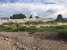 TERRENO EN SATA MATILDE HIDALGO