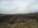 Terreno en venta irapuato gto.