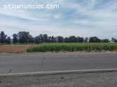 Terreno en venta Salamanca Gto.