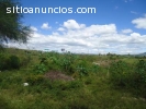 terreno en venta silao gto. GM