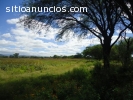 Terreno en venta Silao Gto.