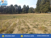 TERRENO EN VENTA ZOYATZINGO AMECAMECA