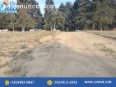 TERRENO EN VENTA ZOYATZINGO AMECAMECA