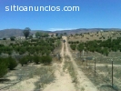 vendo en valle de guadalupe rancho 6 has