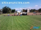 Venta de pasto jardin, canchas...