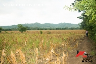 se vende finca en ochomogo