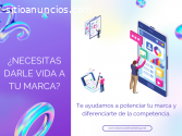 ¿Necesitas un Sitio Web para tu Empresa?