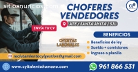 30 CHOFER VENDEDOR Ate, santa anita, SJL