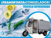 Motocicleta o Triciclo Carga Refrigerada