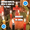 QUIERES TRAER DE NUEVO EL AMOR