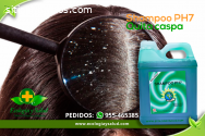 Shampoo PH7 ecológico, quita caspa