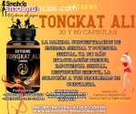 TONGKAT ALI CONCENTRACION DE ENERGIA PLA