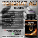 TONGKAT ALI potenciador natural