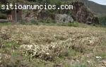 Venta de terrenos en el Valle Sagrado (C