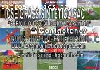 Proyectos, fútbol, césped, icse grass