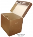 CAJAS DE CARTON