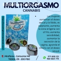 CANNAB MULTIORGAMS COLD SEXSHOP