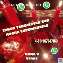 CON MUCHA EXPERIENCIAS - LLAMA Y VERAS