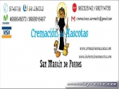 Cremación Mascota San Martin de Porres