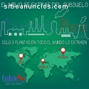 GAS HELIO PROVINCIA ENVÍO 9975349