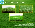 GRAN OFERTA DE GRASS DECORATIVO AL POR M