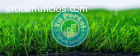 GRASS DECORATIVO AL POR MAYOR: (01) 521-